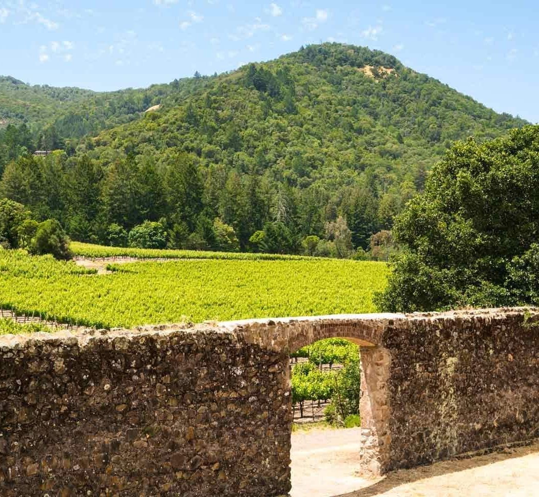 Glen Ellen 1