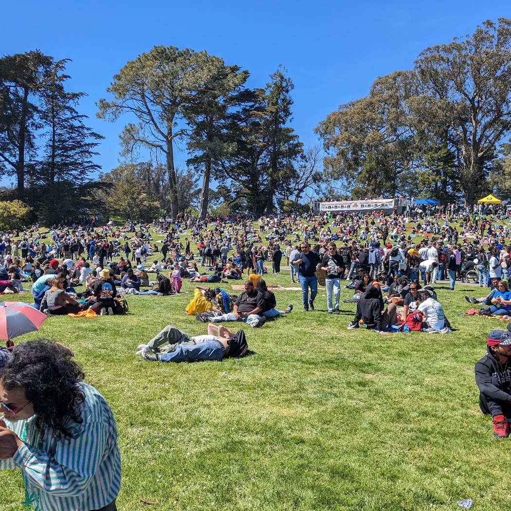 Hippie Hill 2