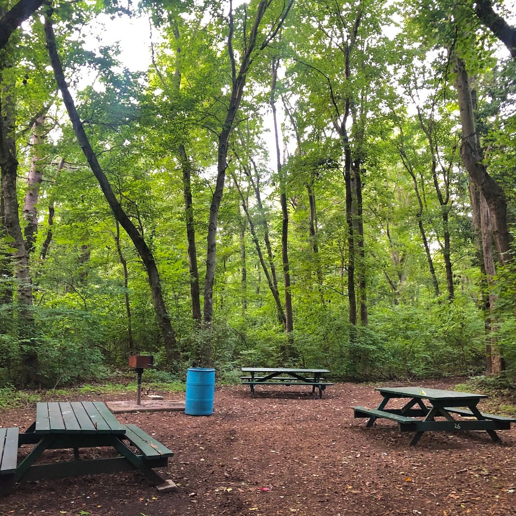 Kings Point Park 4