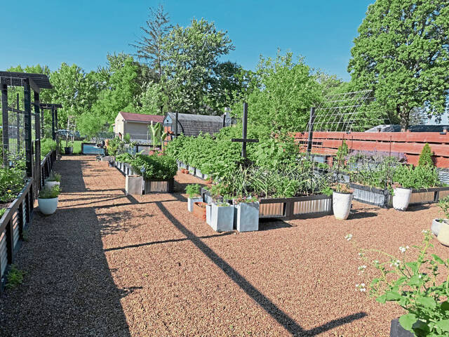 Lawrenceville Organic Community Garden 3