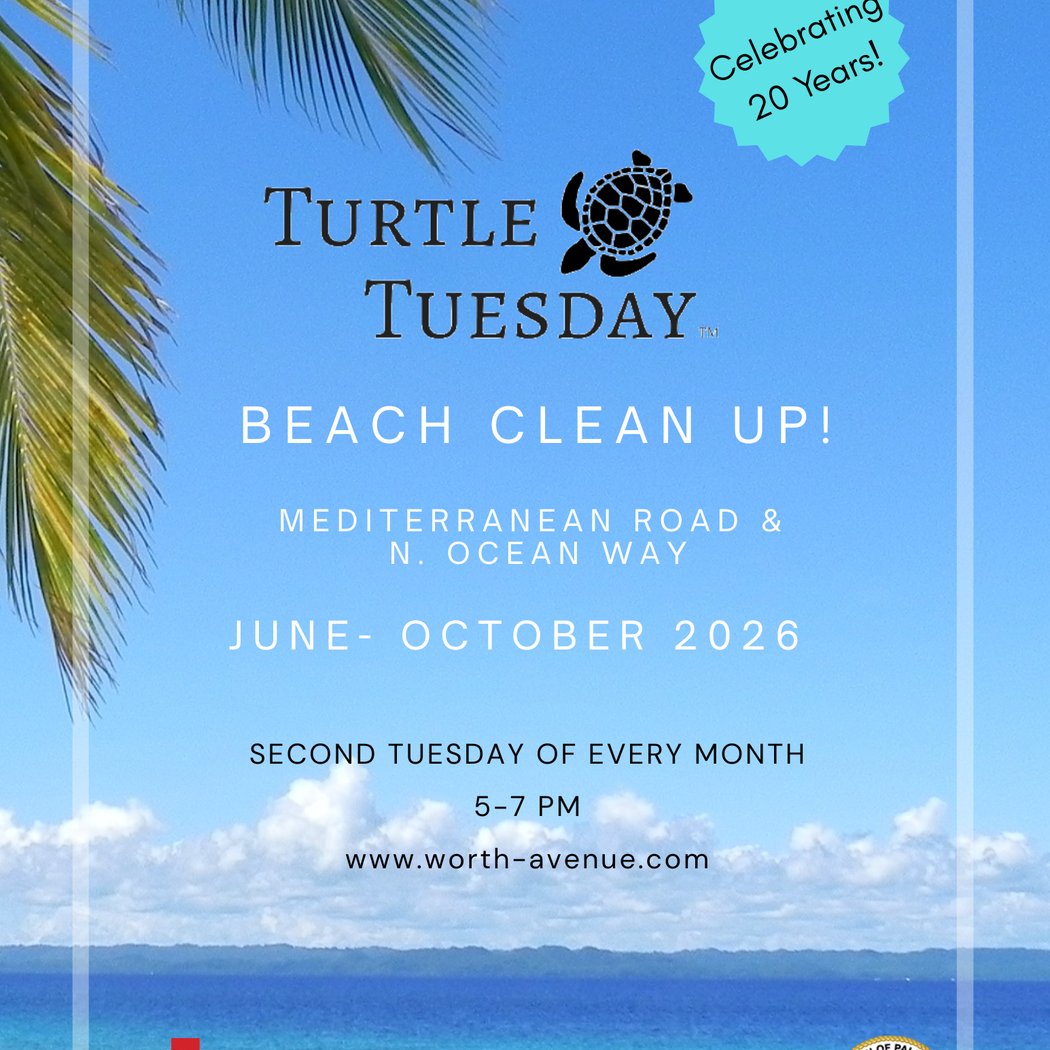 Turtle Tuesday Beach Cleanup 1