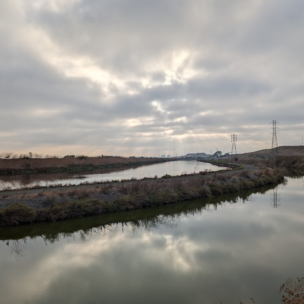 Don Edwards San Francisco Bay National Wildlife Refuge 3