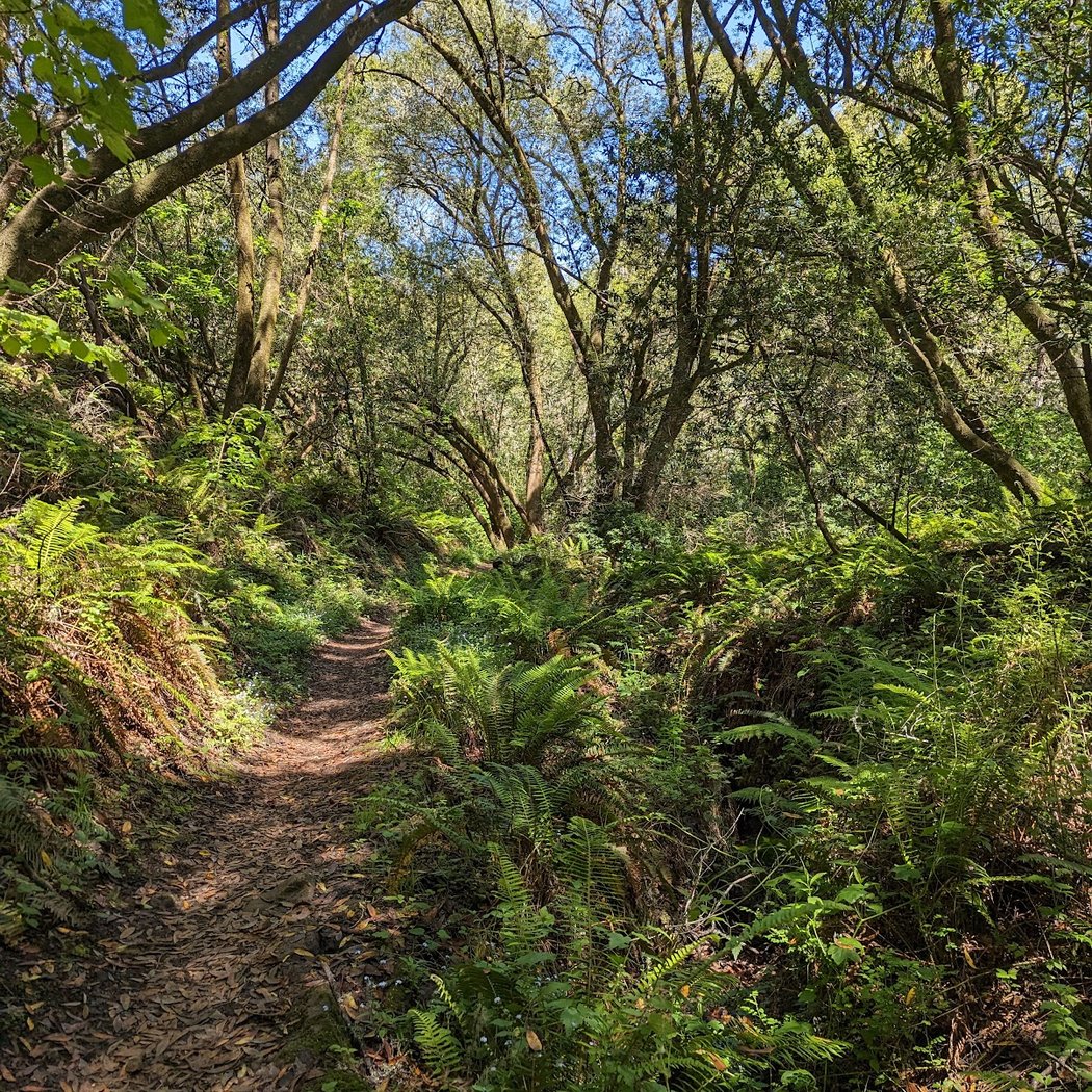 Redwood Creek trailhead 2