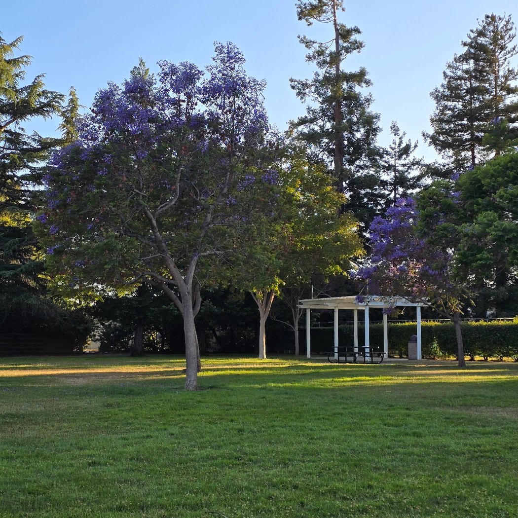 Meyer Park 3