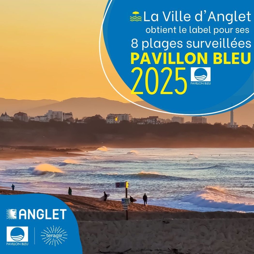 Anglet Beach Bask 1