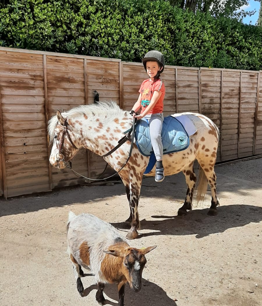 Association NaturAnimale : stages/ateliers enfants et adultes en Yvelines à Maisons-Laffitte 3