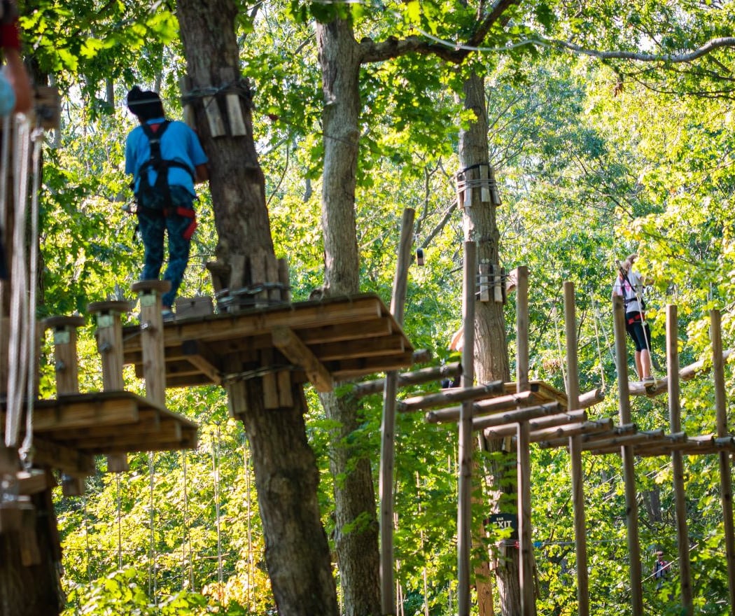 The Adventure Park at the Discovery Museum 2