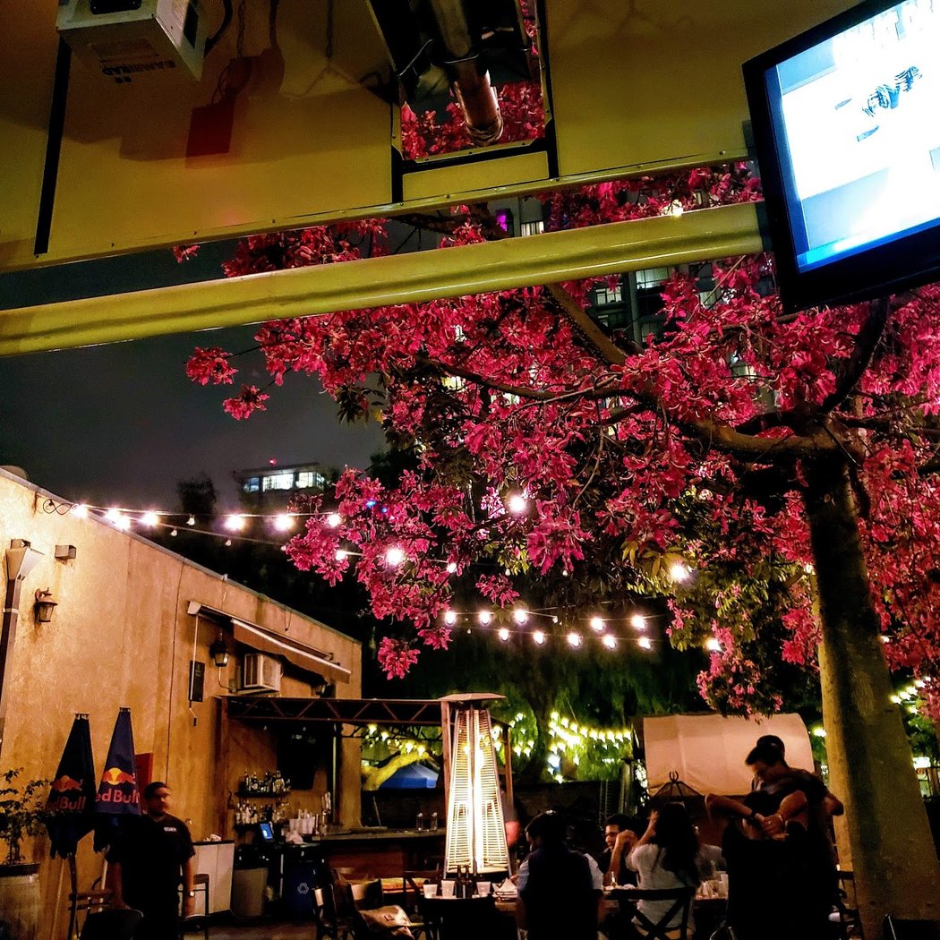 The Old Wagon Saloon & Grill 1