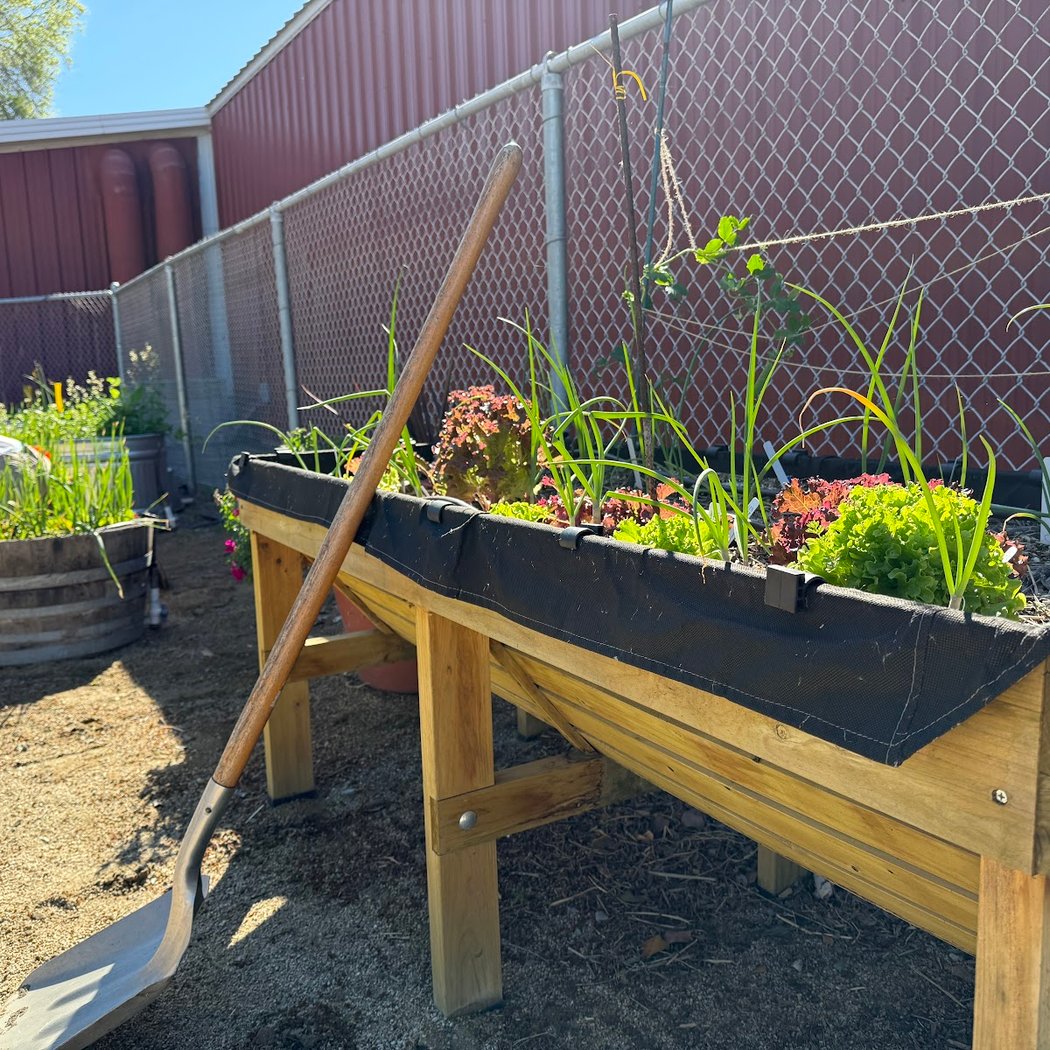 Rivertown Demo Garden 2
