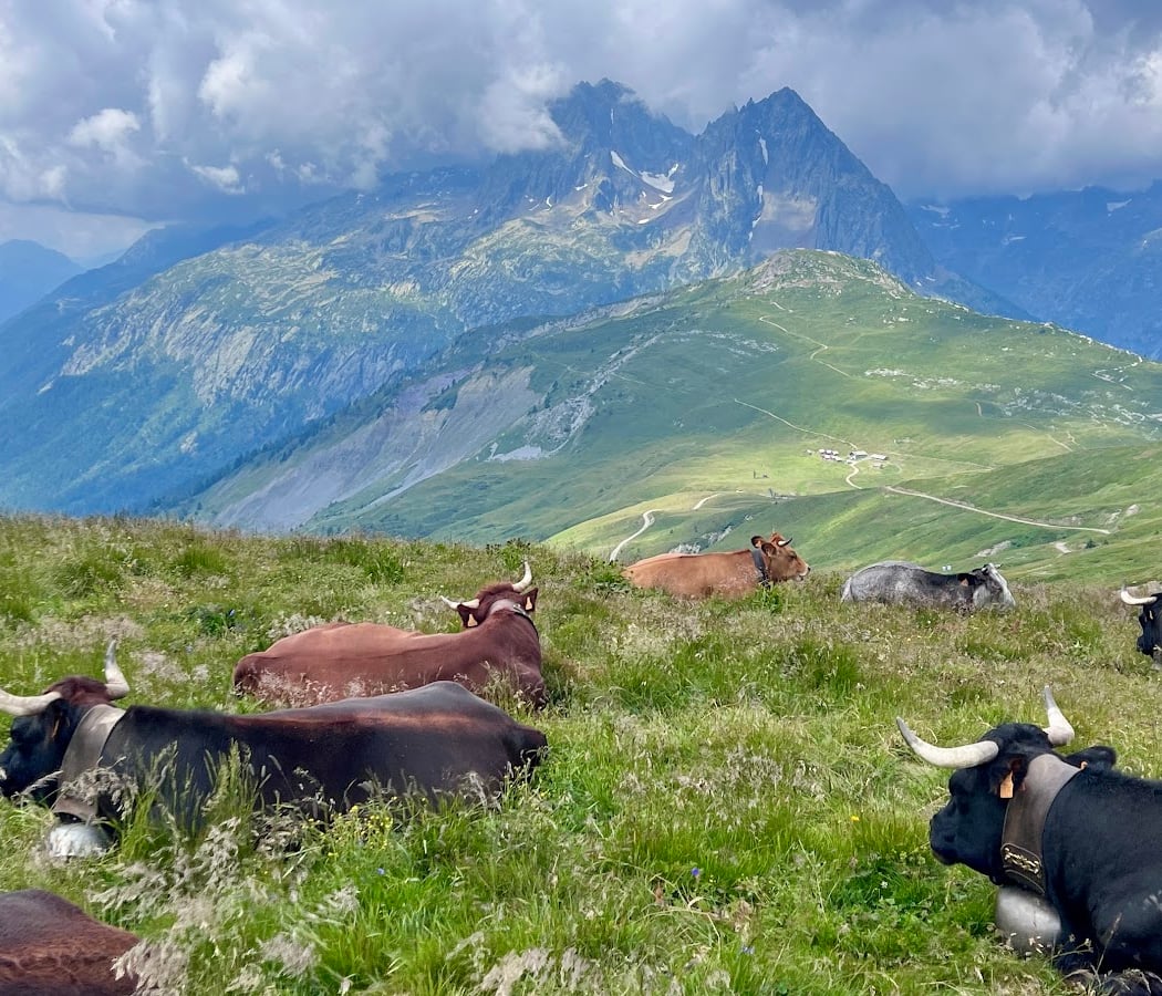 Tour Du Mont Blanc 4