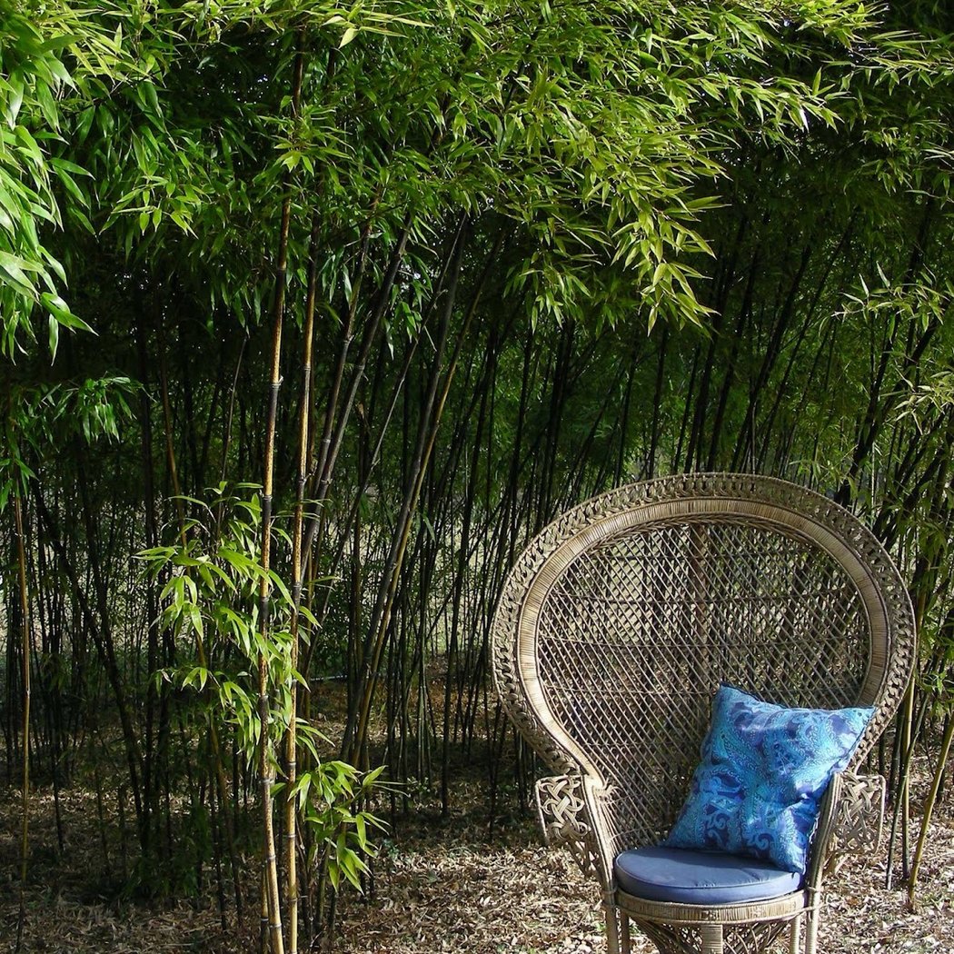 Les Jardins de Lornay 1