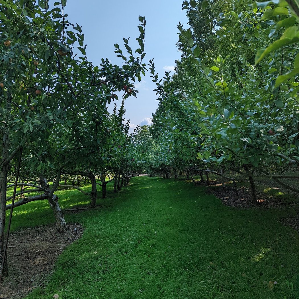 Wightman Fruit Farm 2