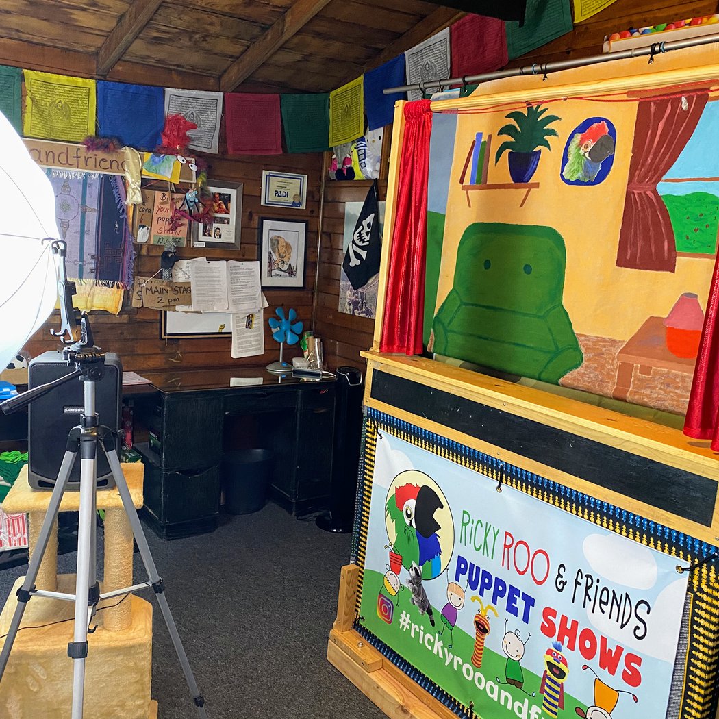 Ricky Roo & Friends Puppet Shows 3