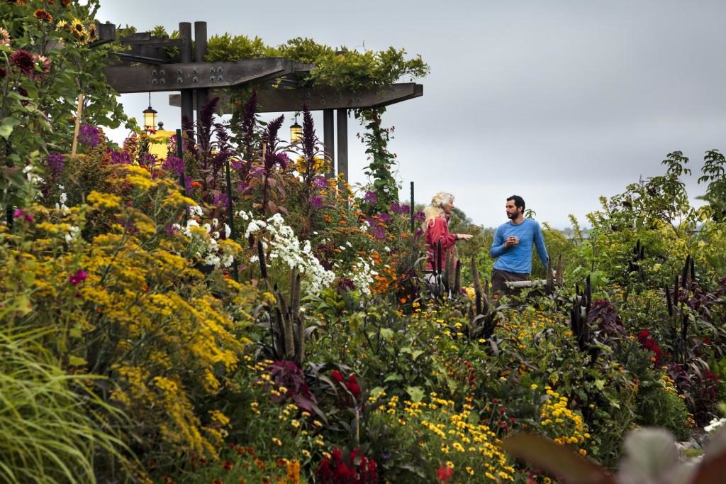 Lynmar Estate Winery 5
