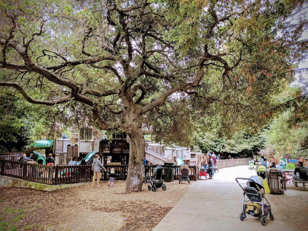 Frog Park 1