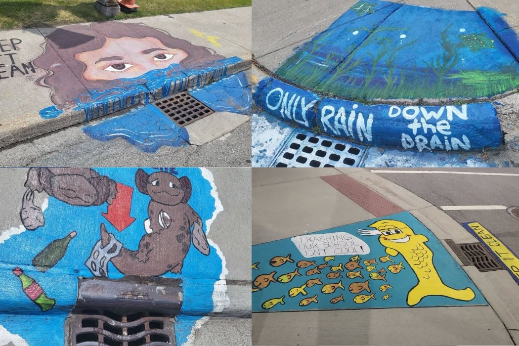 Storm Drain Stenciling 1