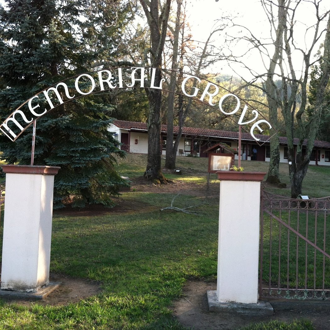 Memorial Grove of State Trees 1