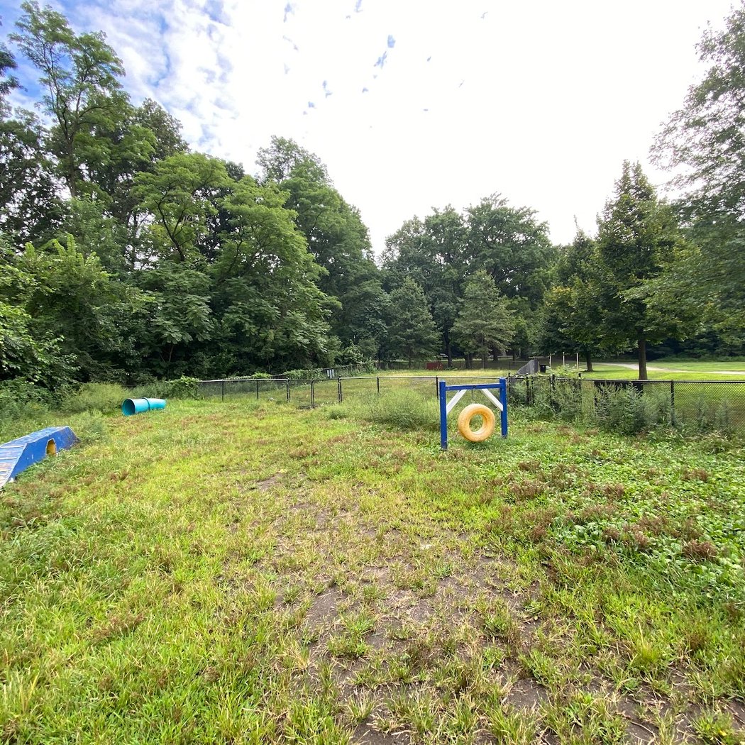 Canine Court 3