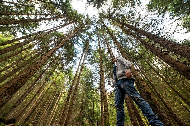 San Francisco: Full Day Coastal Redwoods & Wine Country Tour 2