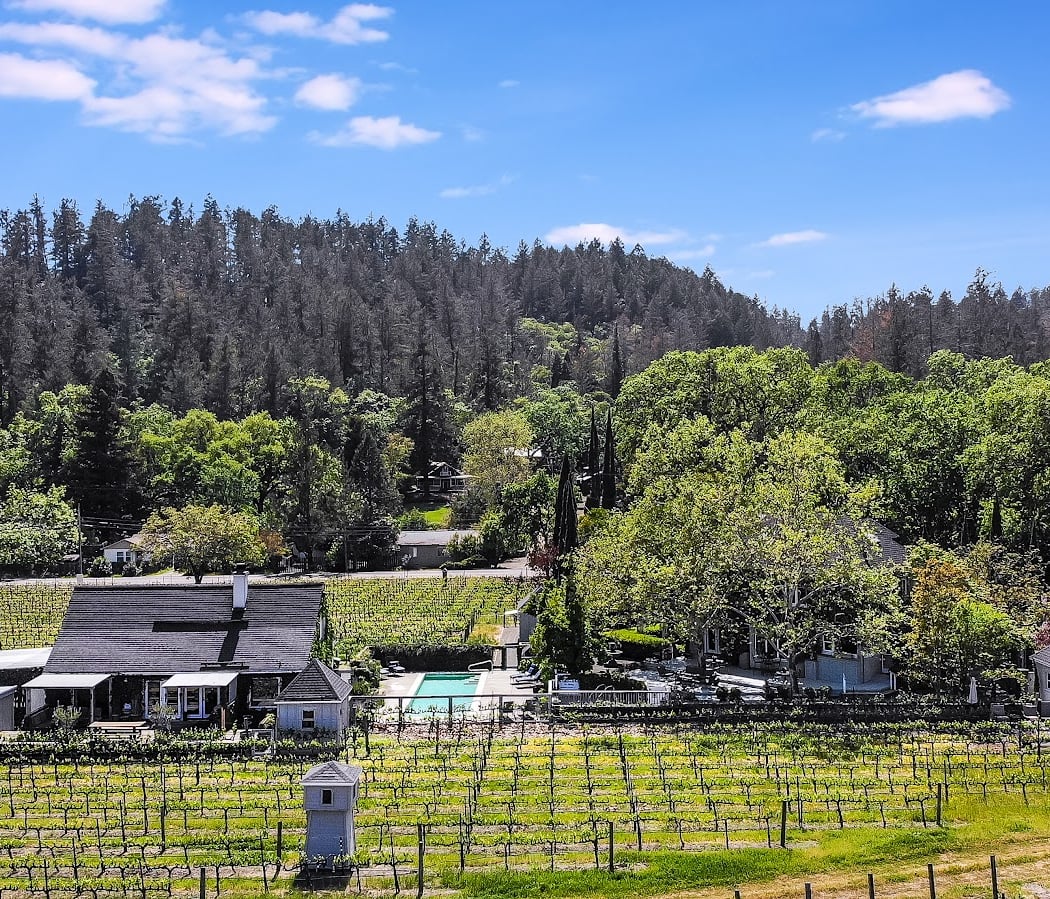 Chateau de Vie 2