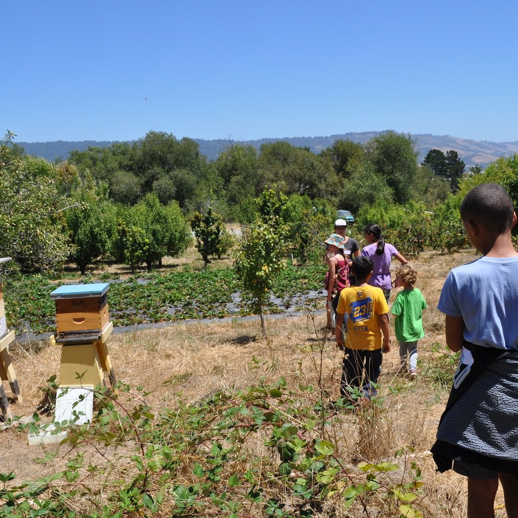Live Earth Farm: Mixology Workshop 2