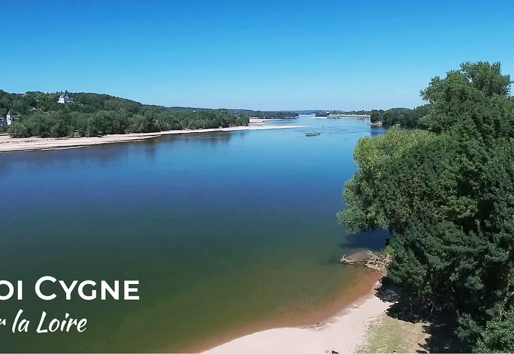Fais-moi Cygne - Balades sur la Loire 1