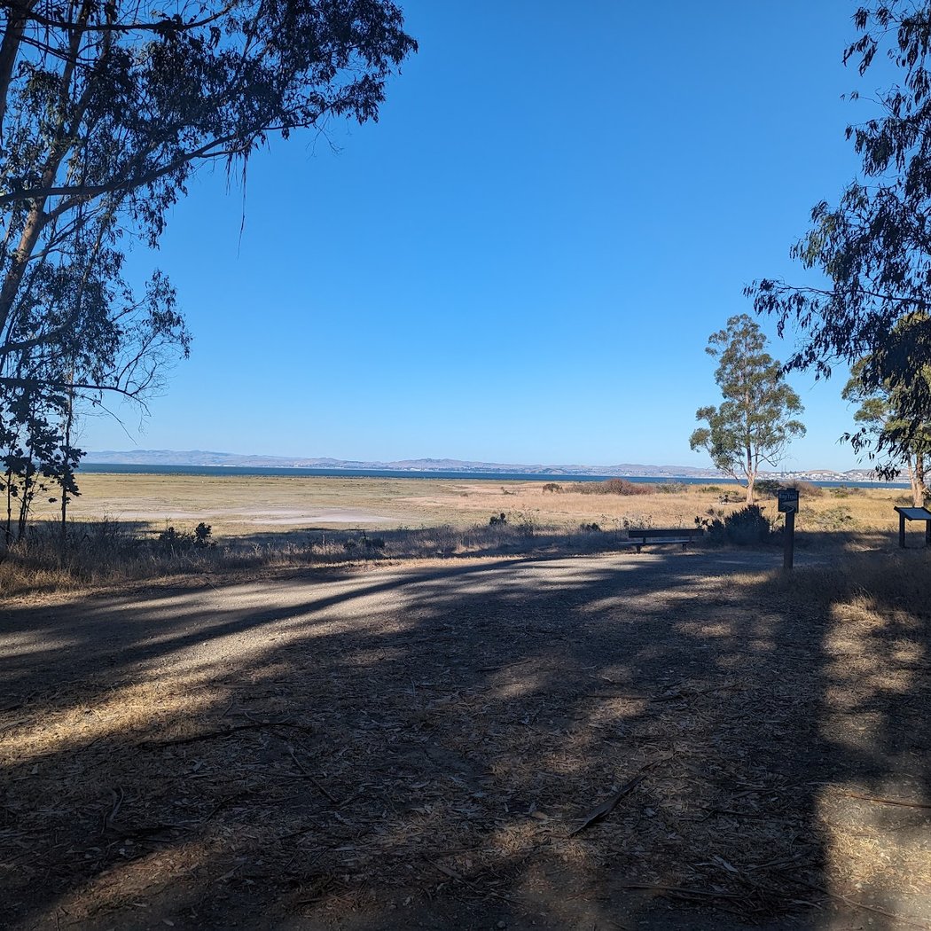 Point Pinole Regional Shoreline 2