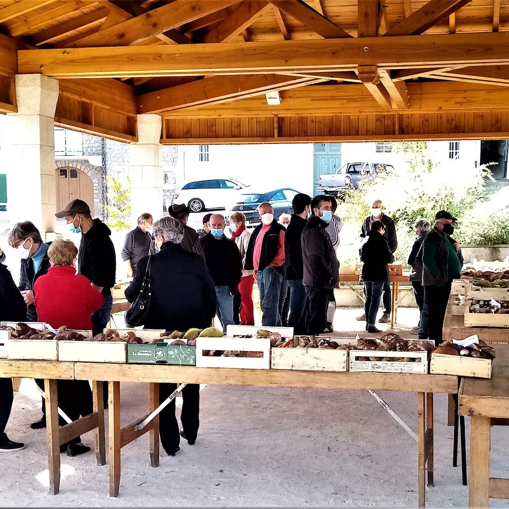 marché aux cèpes prix moyen 3