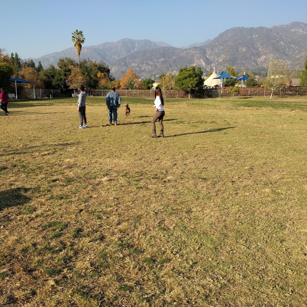 Alice's Dog Park 3