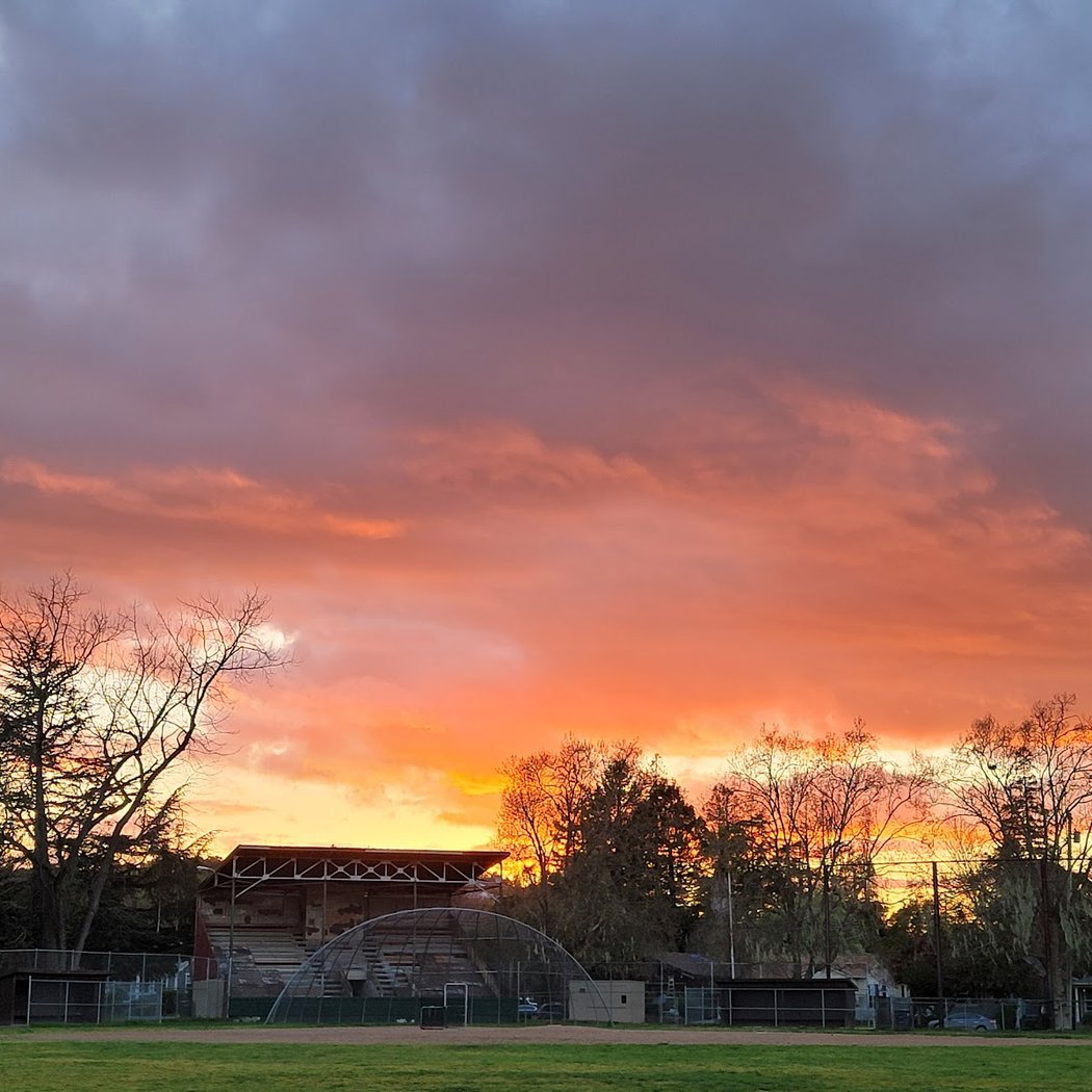 McNear Park 1