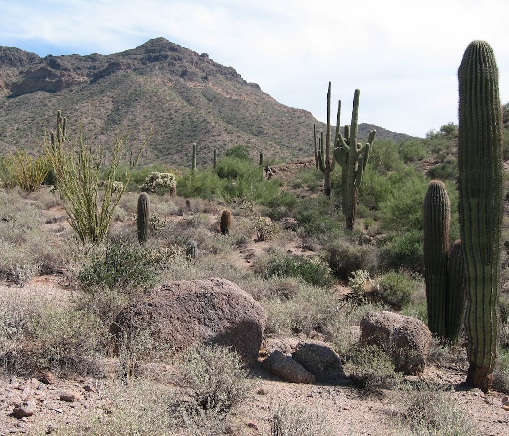 Hiking at Usery Mountain 2