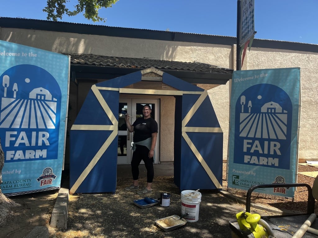 Fair-Agricultural District 2