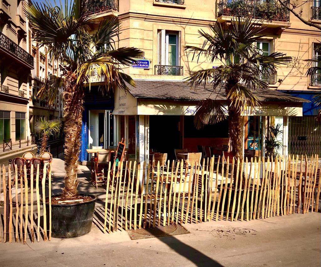 Coco de Mer 3