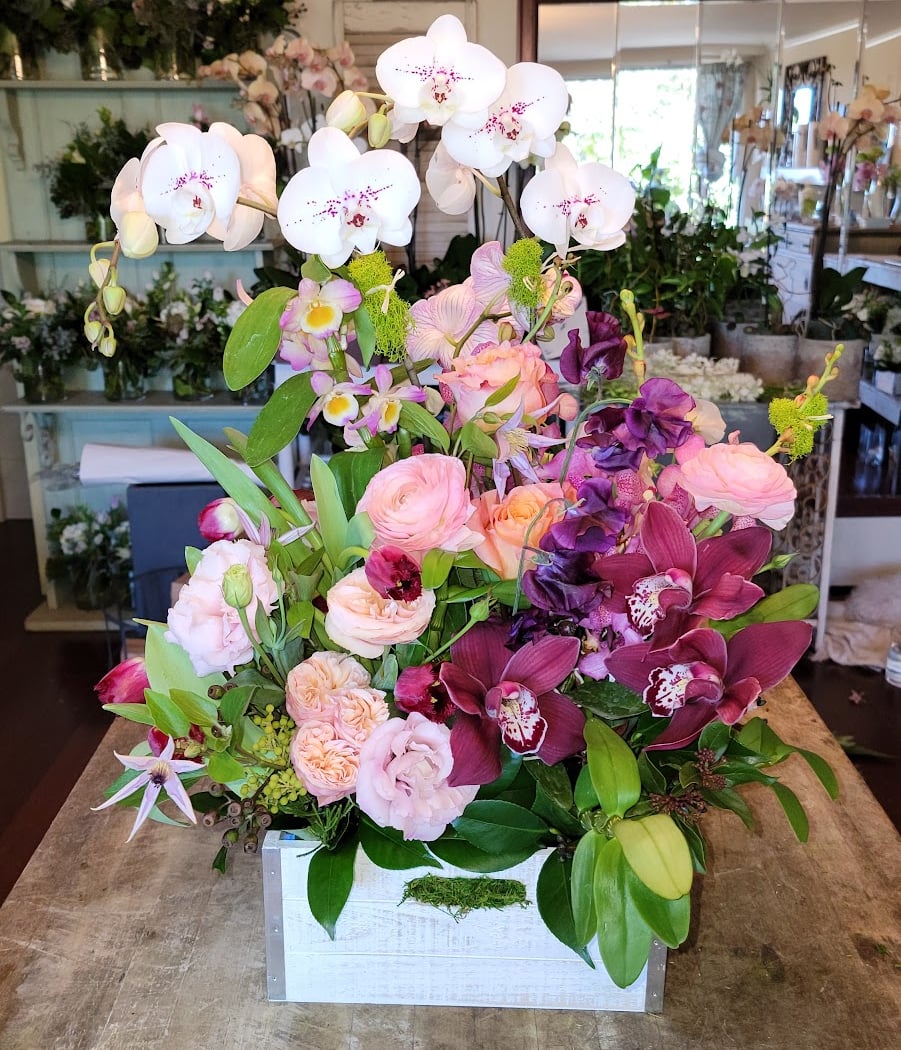 Misaghi Design . Orinda Florist 3
