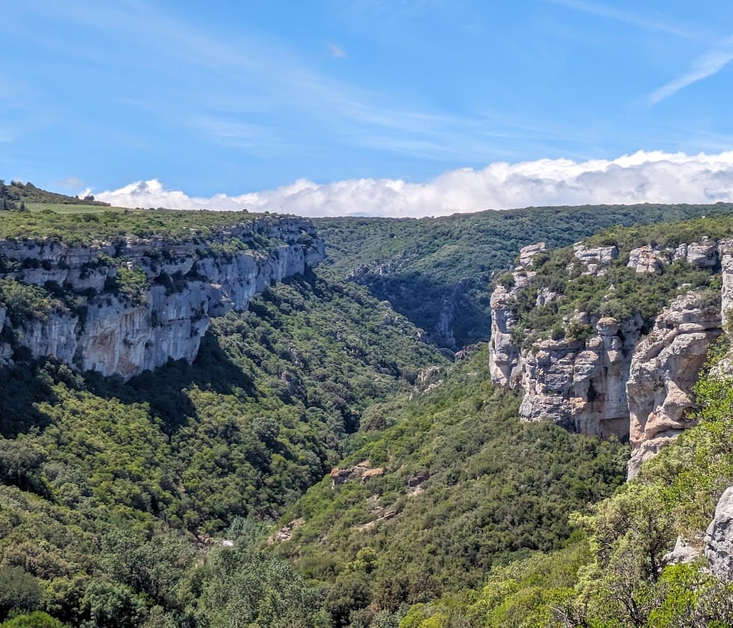 The Haut-Languedoc regional nature Park 5