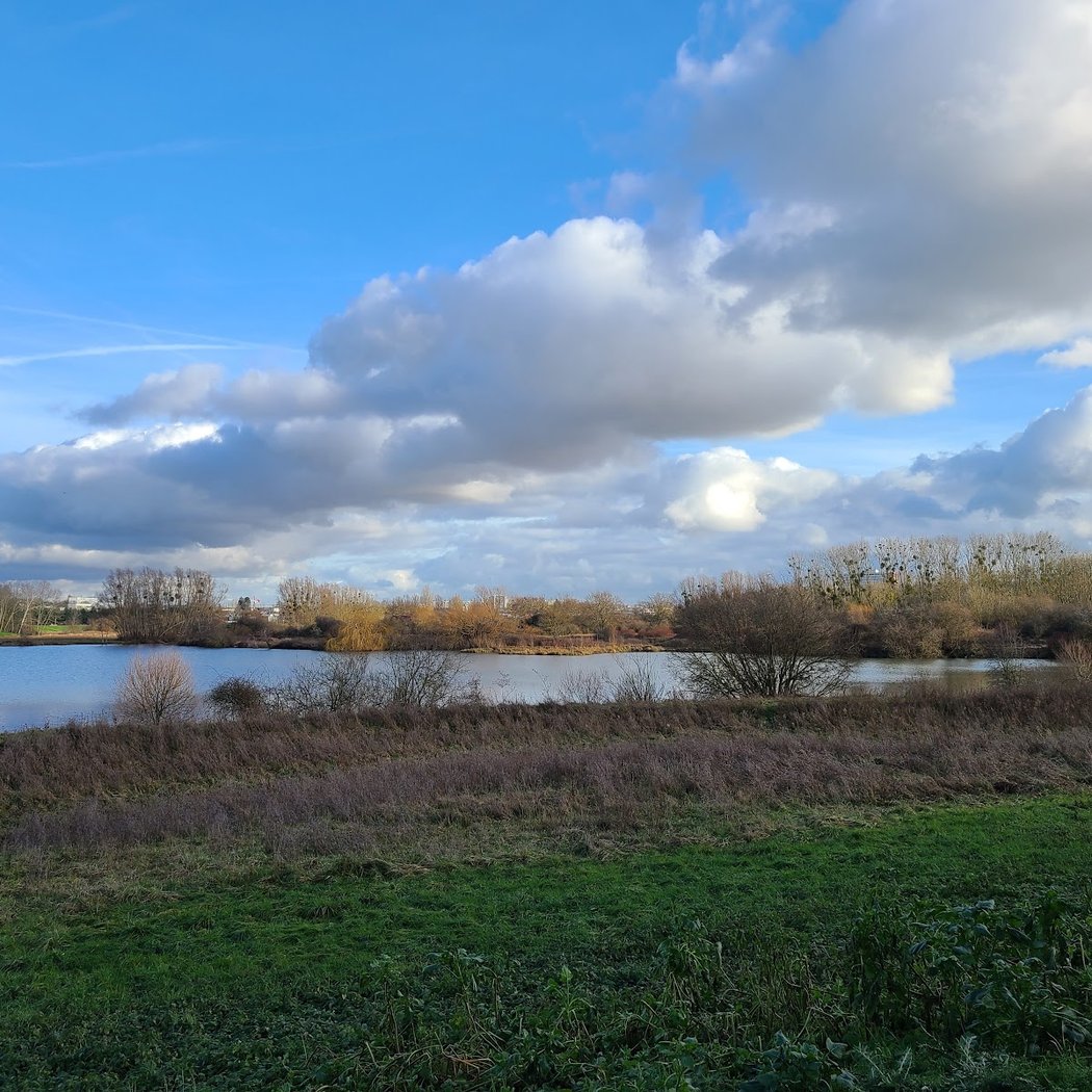 Lac de Saulx-Les-Chartreux 2