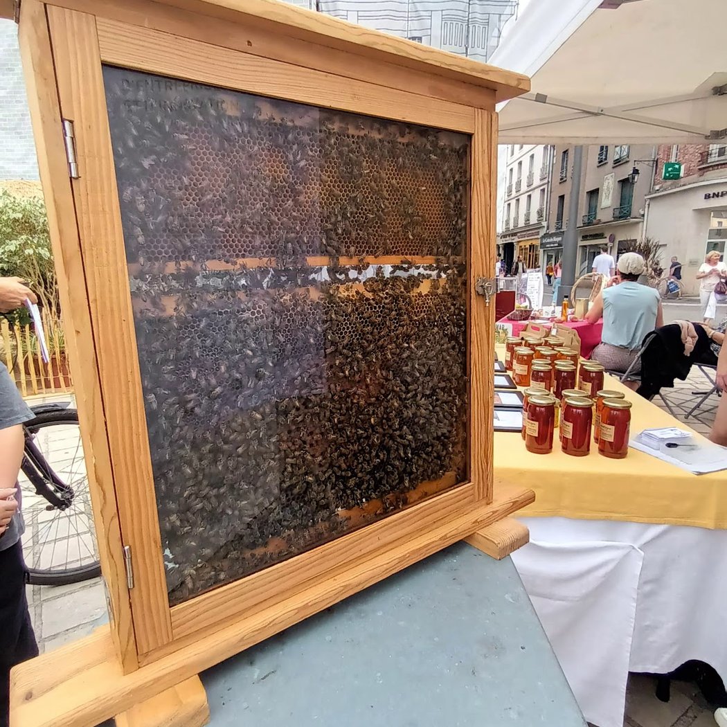 Place Du Marche - Des Arcades 1