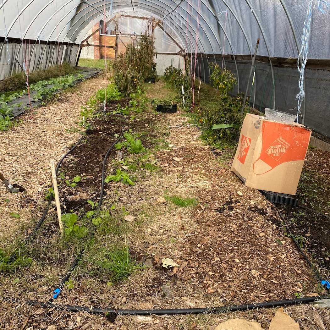 Saturday Volunteering & Composting 3