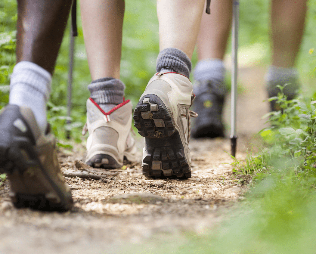 Trails & Ales - Guided Hike 1