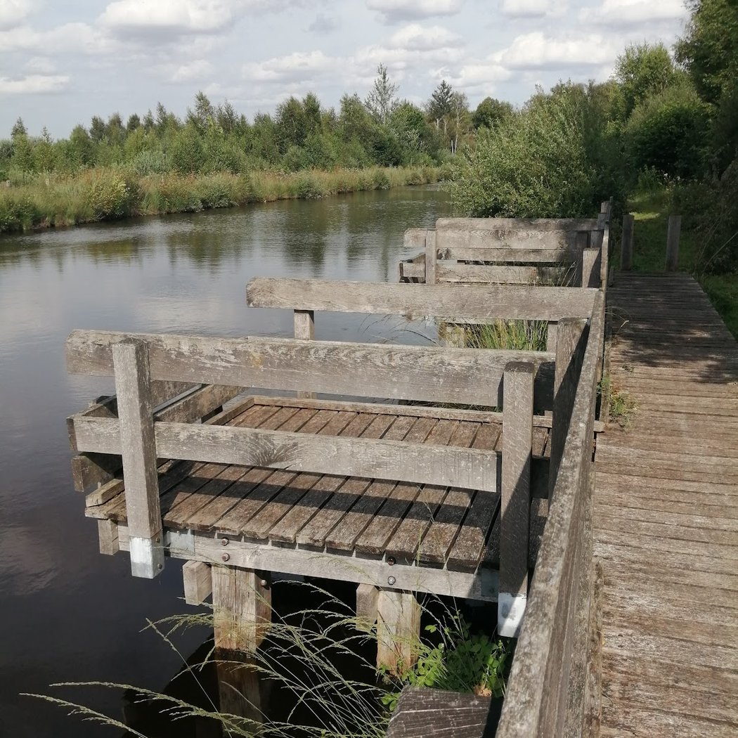 Randonnée "Le Grand Marais de Liesse" 1