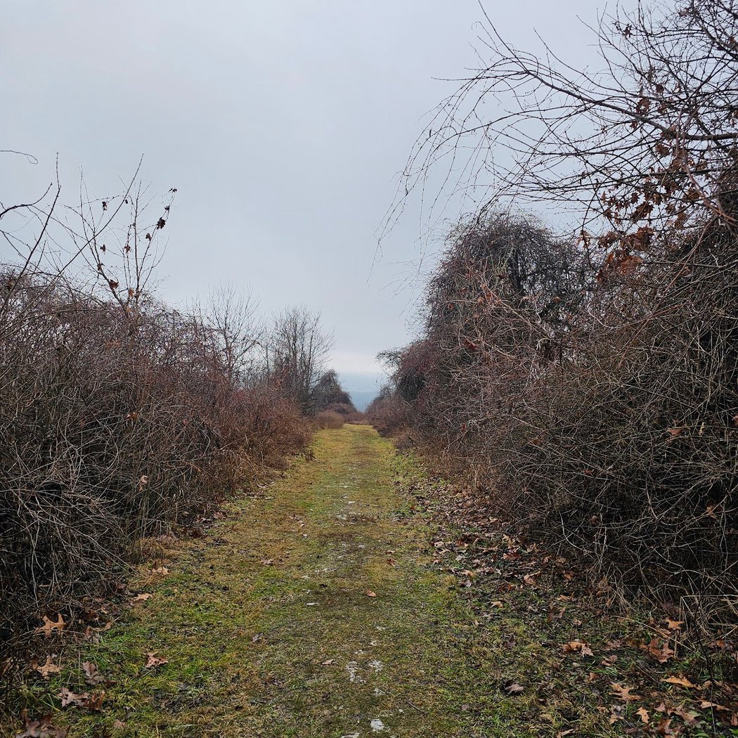 Peach Hill Park (Only Parking Area) 2
