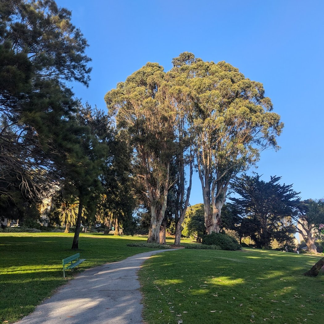 Jefferson Square Park 3