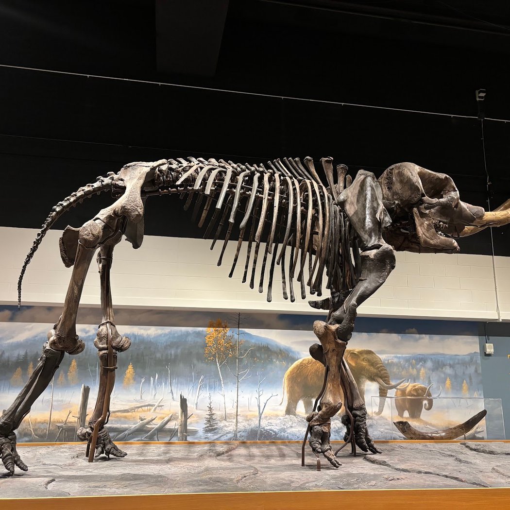 New York State Museum 1
