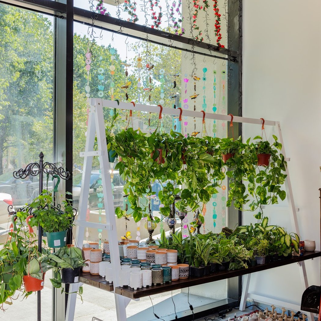 Bootanical Mini Terrarium Workshop 3