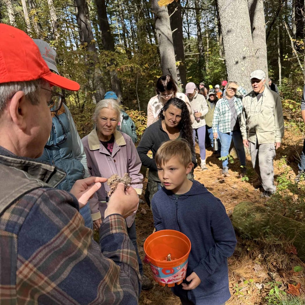 Fall Mushroom Walk 1