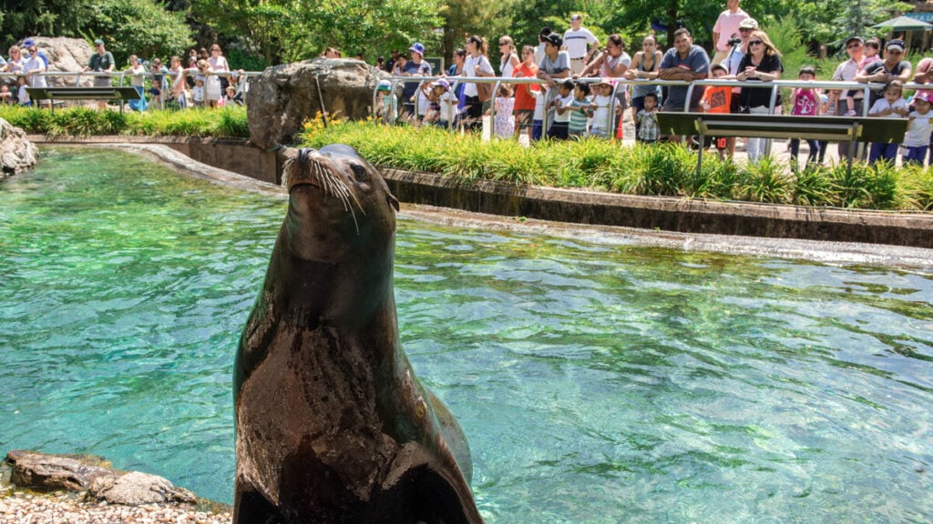 Queens Zoo 1