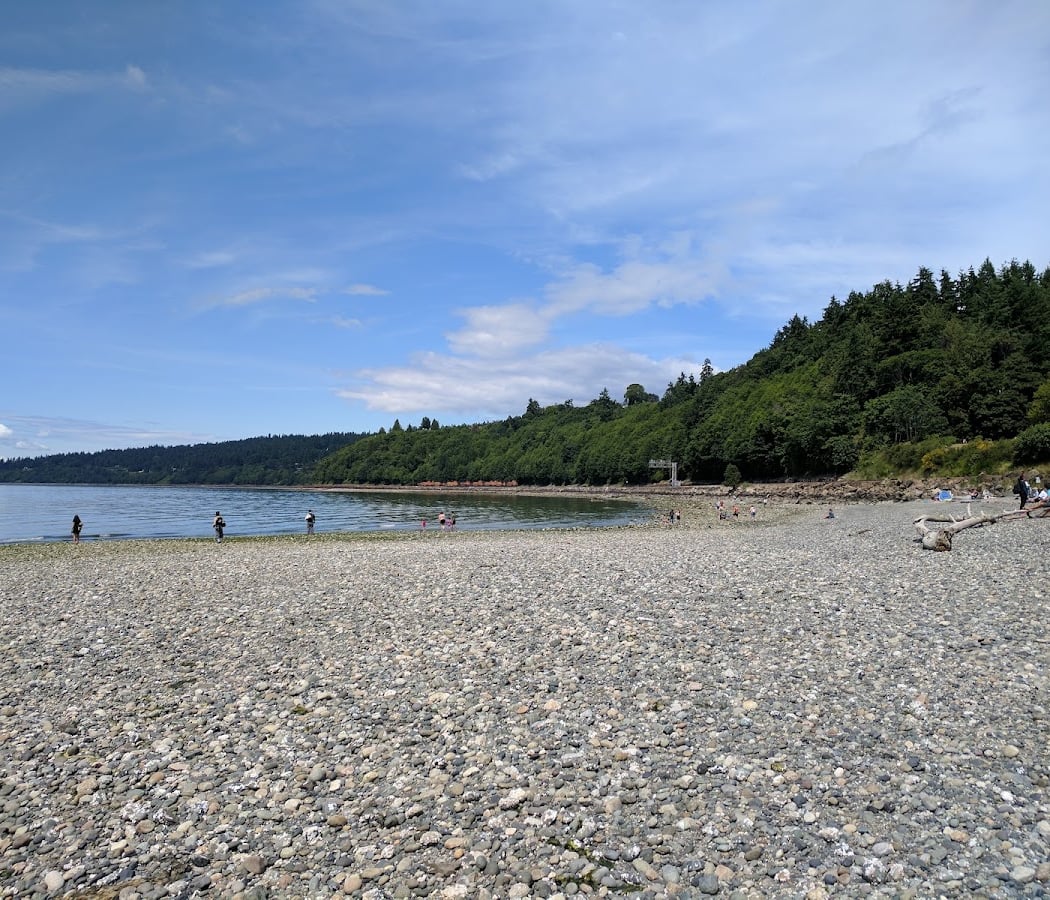 restoration work party at Carkeek Park 2