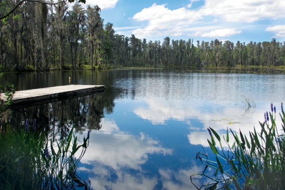 Lake Park 1