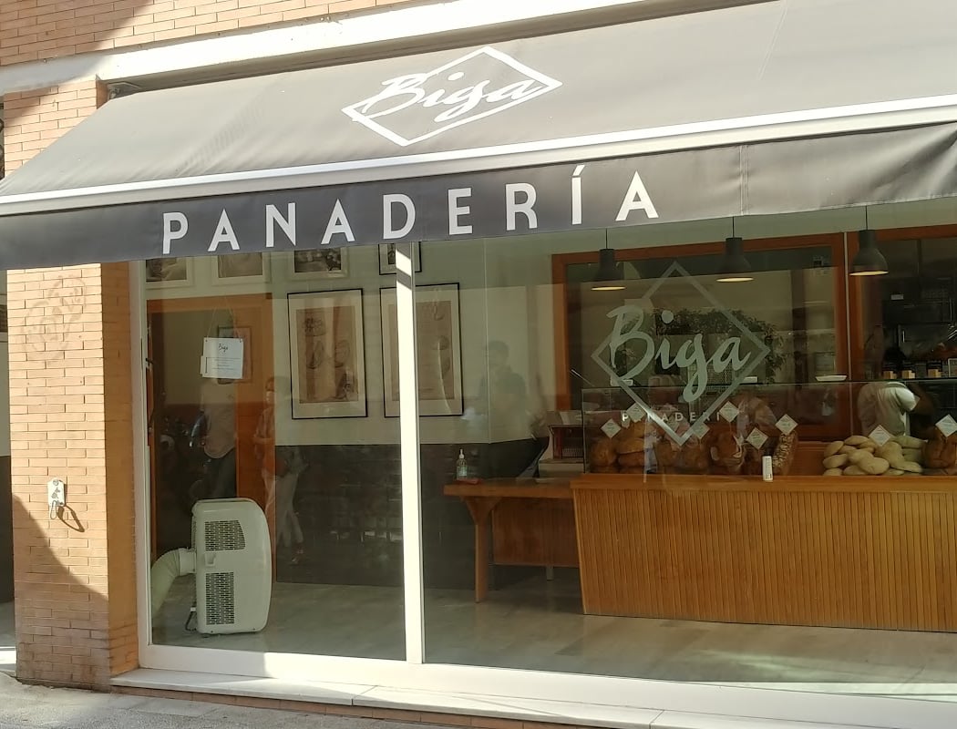 Biga Panaderia 2
