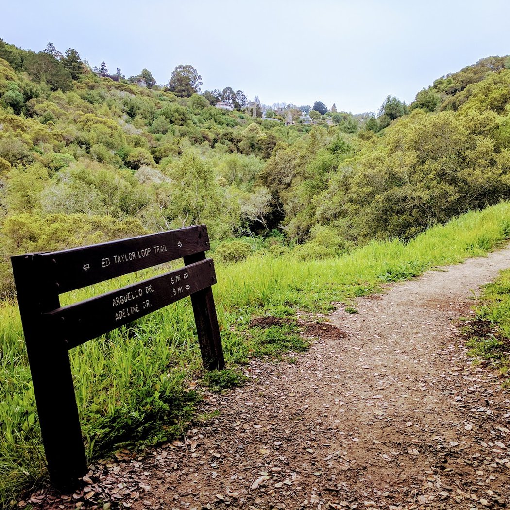 Mills Canyon Park 3